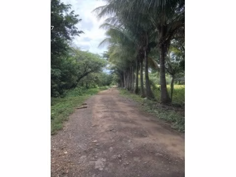 LOTE EN BAHIA SALINAS