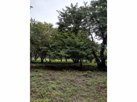 LOTE EN BAHIA SALINAS