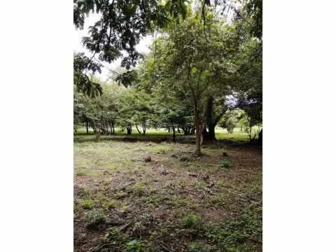 LOTE EN BAHIA SALINAS