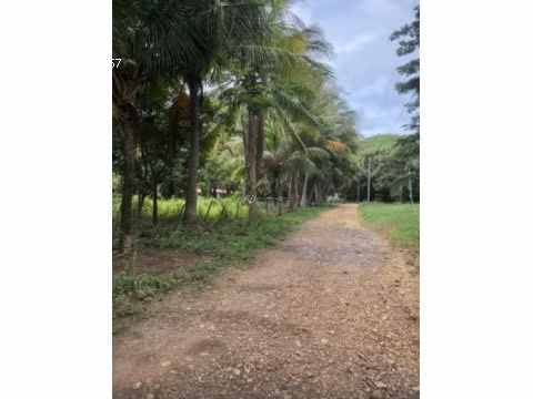 LOTE EN BAHIA SALINAS