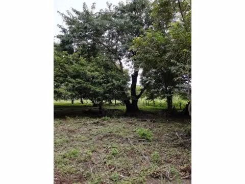 LOTE EN BAHIA SALINAS