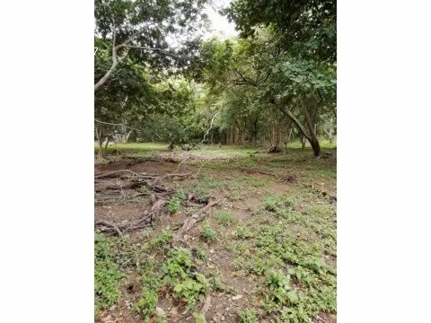 LOTE EN BAHIA SALINAS