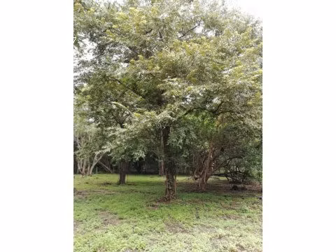 LOTE EN BAHIA SALINAS