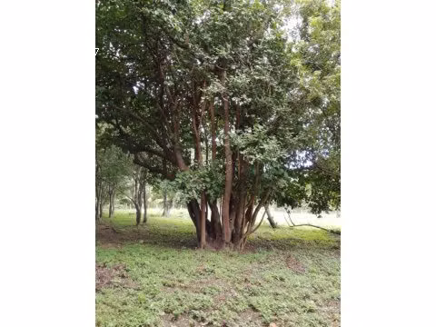 LOTE EN BAHIA SALINAS