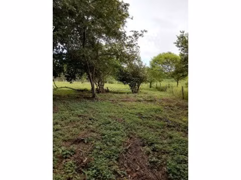 LOTE EN BAHIA SALINAS