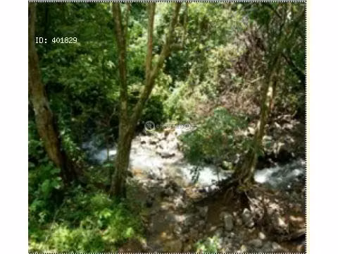 Finca Turística y de Conservación en Nicoya con Cascadas y Ríos - F49