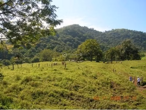 Finca Turística y de Conservación en Nicoya con Cascadas y Ríos - F49