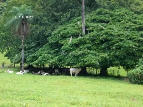 Finca Turística y de Conservación en Nicoya con Cascadas y Ríos - F49