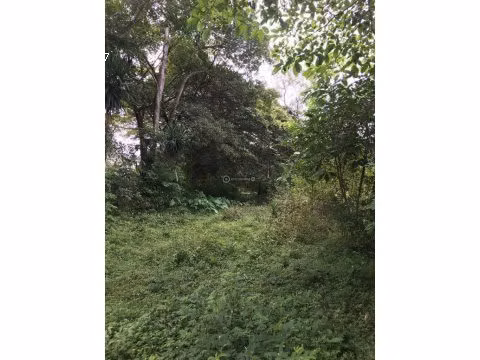 FINCA EN VENTA EN PUNTARENAS, MIRAMAR.