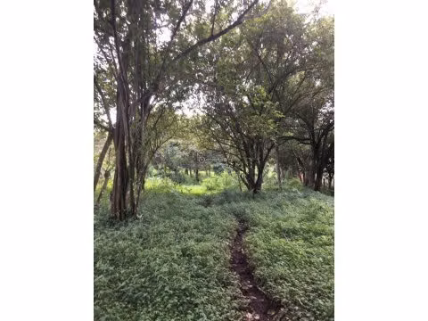 FINCA EN VENTA EN PUNTARENAS, MIRAMAR.