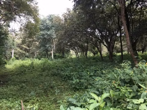FINCA EN VENTA EN PUNTARENAS, MIRAMAR.