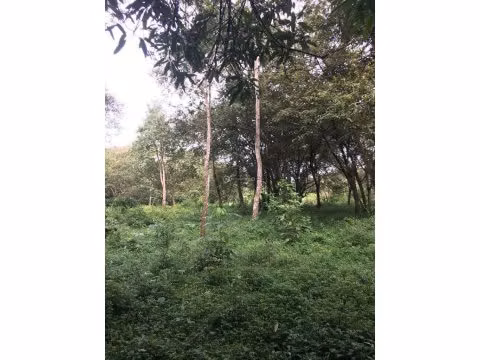 FINCA EN VENTA EN PUNTARENAS, MIRAMAR.
