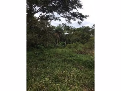 FINCA EN VENTA EN PUNTARENAS, MIRAMAR.