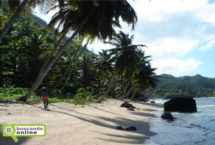 Terrenos lineales a la playa, punta cana, miches, terrenas, y mas!! - Imagen 4