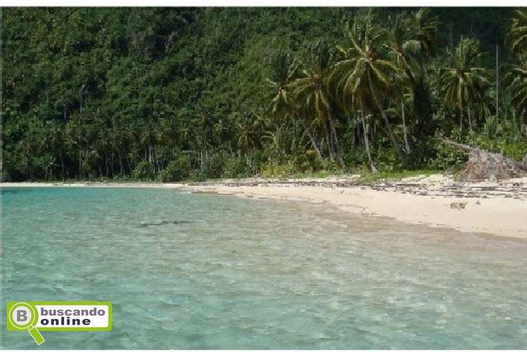 Terrenos lineales a la playa, punta cana, miches, terrenas, y mas!! - Imagen 3