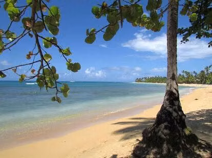Vacacionar en las paradisiacas playas del caribe!!! - Imagen 4
