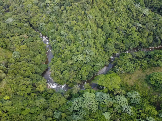 Complejo en Venta en las Montañas Jarabacoa - Imagen 4