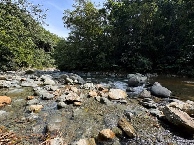 Complejo en Venta en las Montañas Jarabacoa - Imagen 7