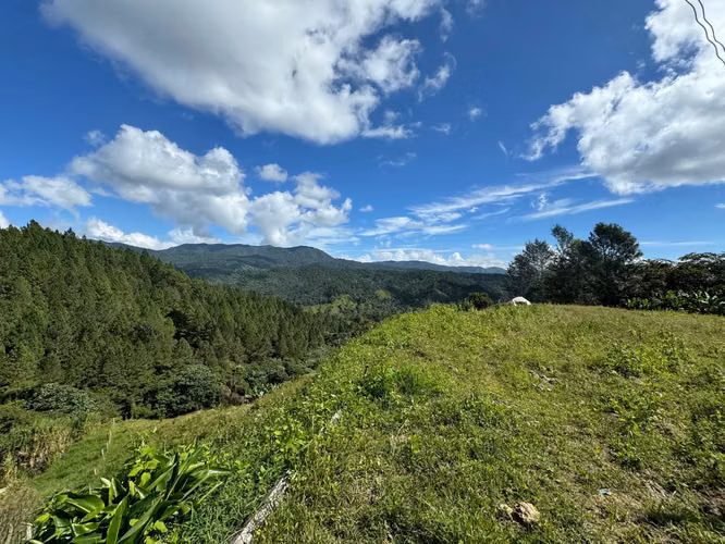 Se Vende Finca en Jarabacoa RD - Imagen 4