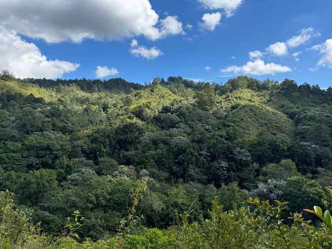 Se Vende Finca en Jarabacoa RD - Imagen 8