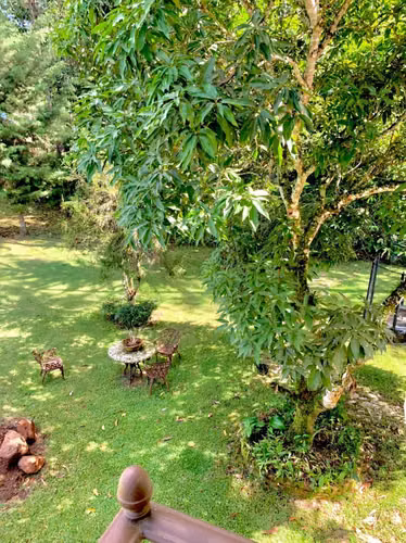 Se vende villa totalmente amueblada en Jarabacoa - Imagen 8
