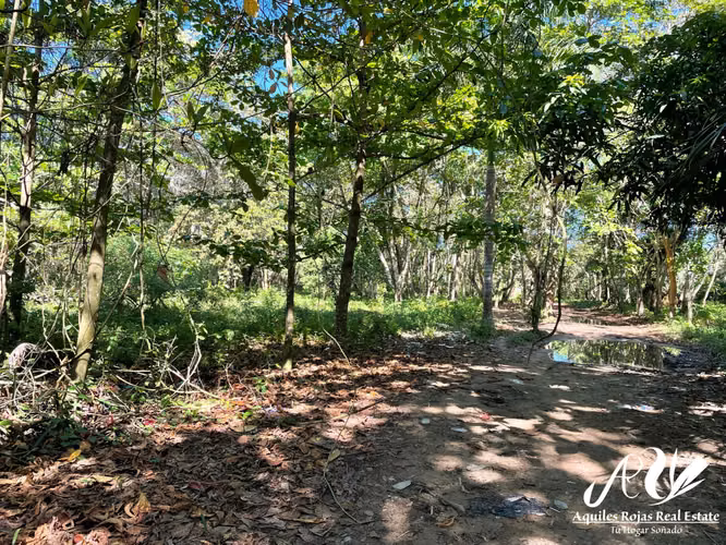 Terreno en Playa Bergantin - 2014