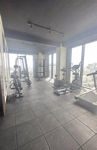 Apartamento En Alquiler De 1 Habitación Y 1 Baño En Piantini - Imagen 6