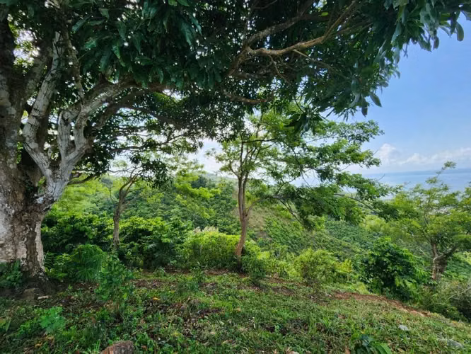 5074-  TERRENO DE LAS TERRENAS, SAMANA