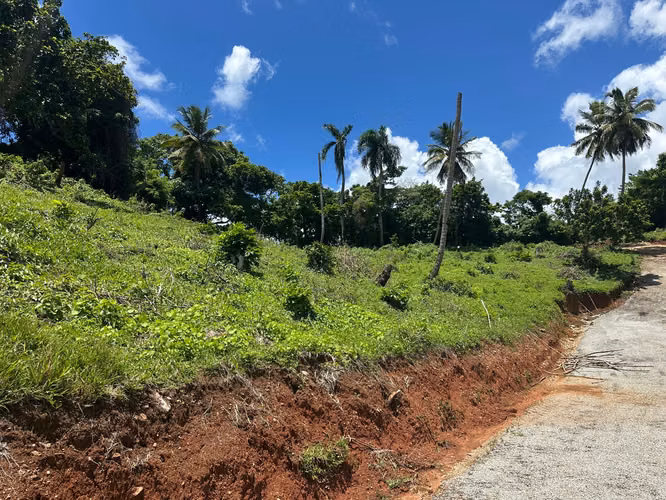 Terrenos con alta proyección Samaná