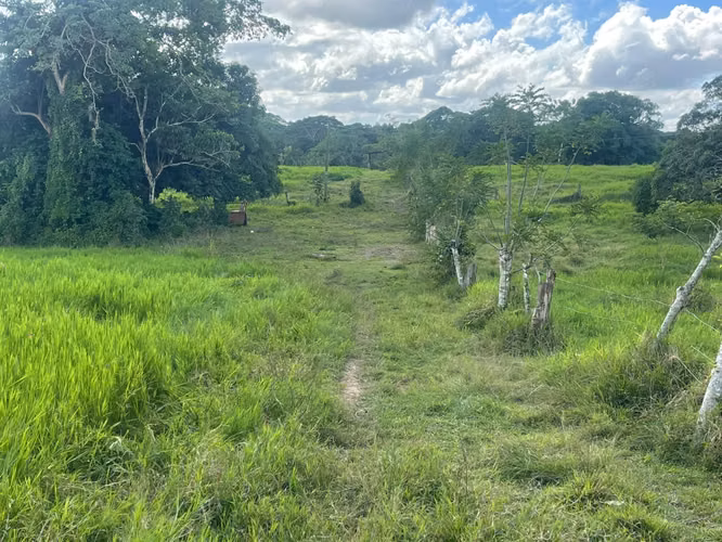 Finca GANADERA o AGRICOLA  de 674 TAREAS en LUISA BLANCA, Monte Plata