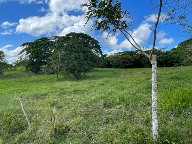Finca GANADERA o AGRICOLA  de 674 TAREAS en LUISA BLANCA, Monte Plata