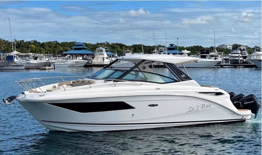 Sea ray sudancer 320