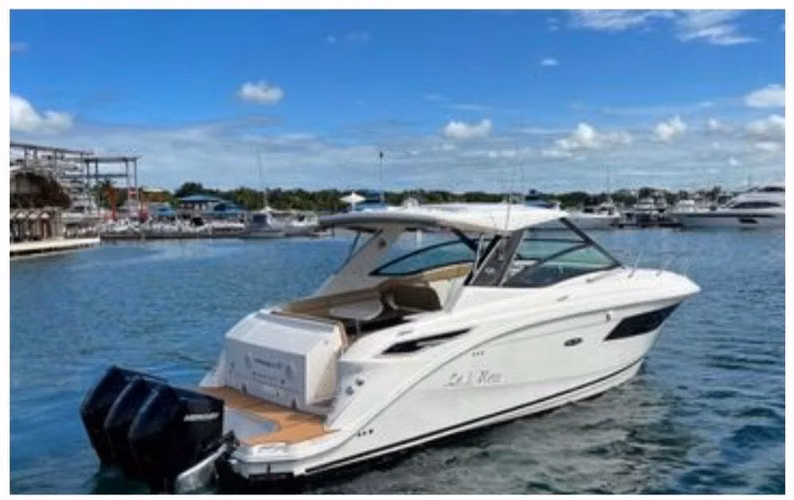 Sea ray sudancer 320