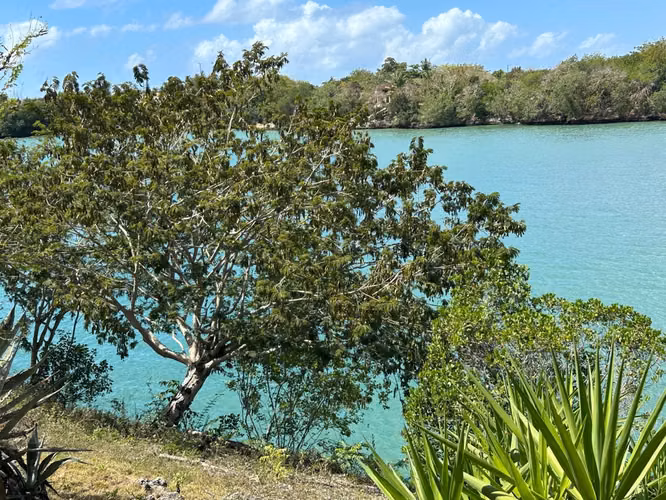 Villa de lujo semi amueblada en Cumayasa La Romana en alquiler y venta - Imagen 5
