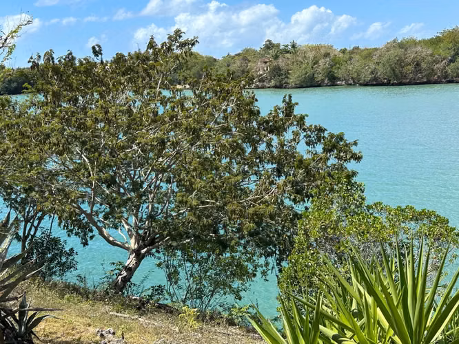 Villa de lujo semi amueblada en Cumayasa La Romana en alquiler y venta - Imagen 2