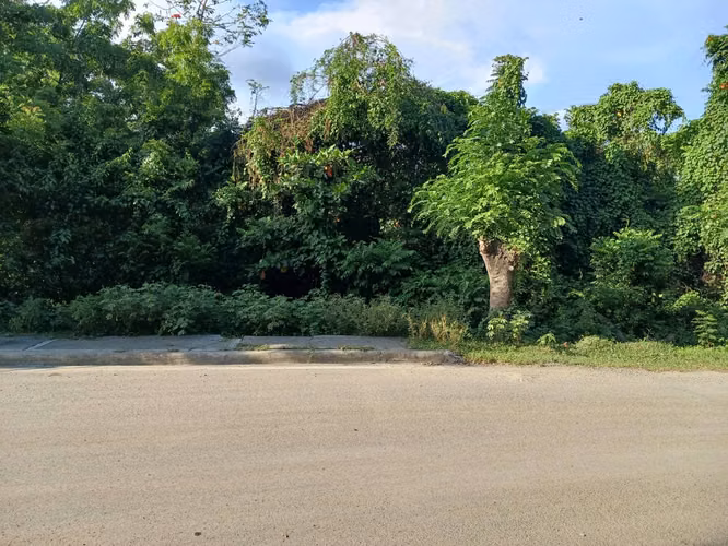 Terreno en Venta Autopista Cicunvalacion - Imagen 4