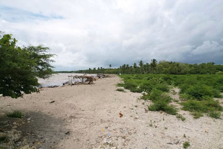 Vendo 424,726 Mts.2 de Terreno, con 635 metros lineales de Playa, NUEVA ROM