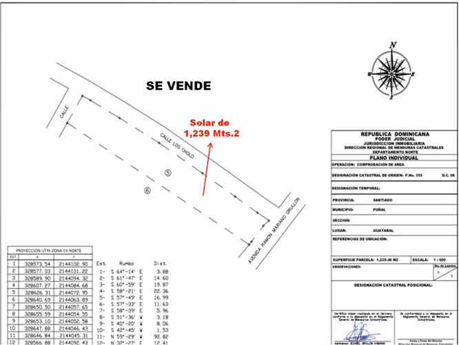 Vendo Solar 1,239 Mts.2en Guayabal, SANTIAGO, AV. RAMON MARIANO - Imagen 7
