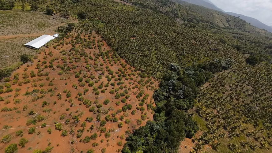 350 TERRENO EN LOS MEMIZOS, NAGUA