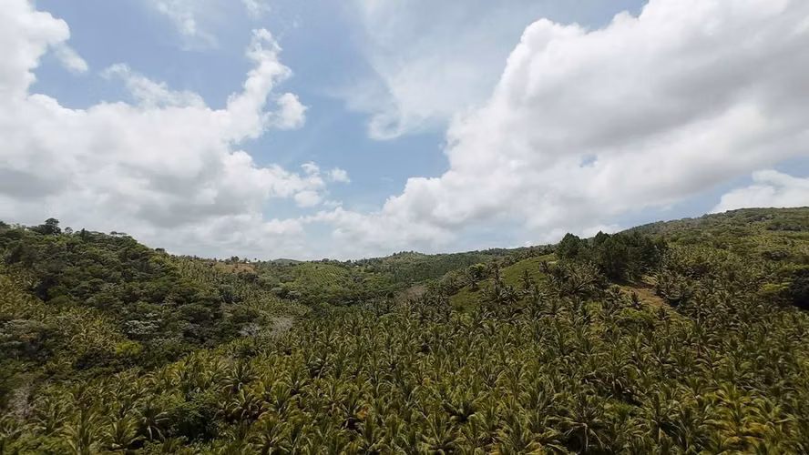 350 TERRENO EN LOS MEMIZOS, NAGUA