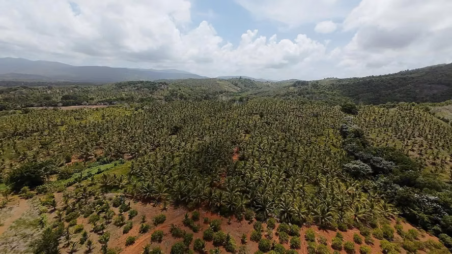 350 TERRENO EN LOS MEMIZOS, NAGUA