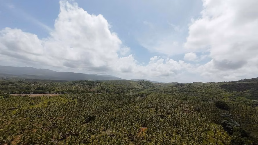 350 TERRENO EN LOS MEMIZOS, NAGUA