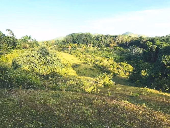 Terreno en Venta Las Terrenas