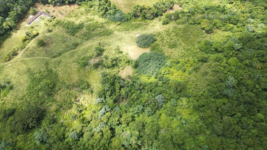 Terreno en Venta Las Terrenas
