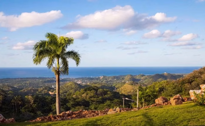 Terreno en Venta en Las Terrenas en la Montaña con Vista al Mar - Imagen 6
