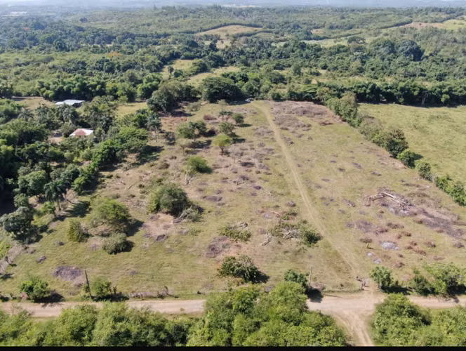 venta de terreno en pedro brand - Imagen 2