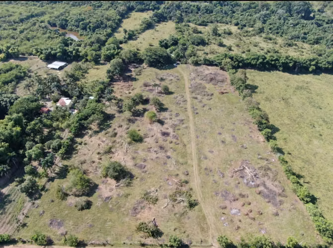 venta de terreno en pedro brand - Imagen 4