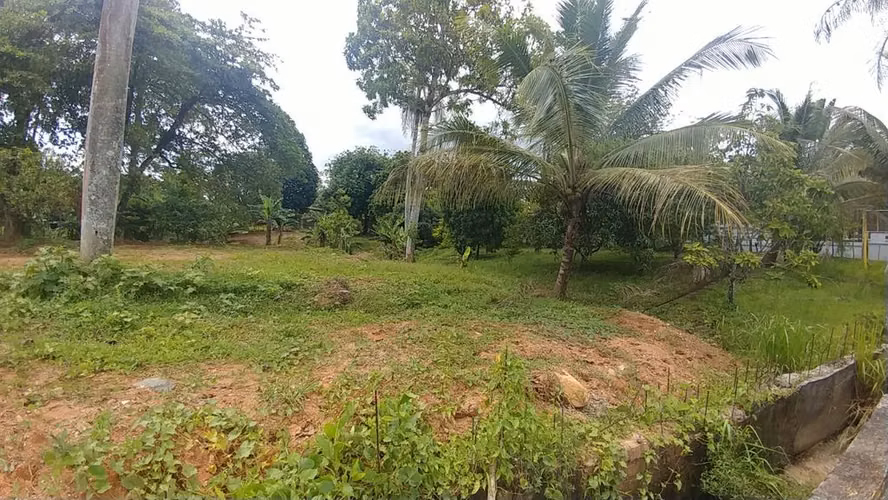 Terreno en Venta en Yuboa - Imagen 8