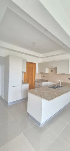 Amplio Penthouse en Venta, Urbanización Thomen, Santiago. - Imagen 5