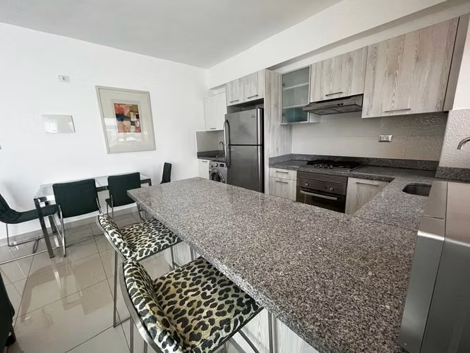 Apartamento en Alquiler en Piantini Amueblado de UNA Habitación - Imagen 6